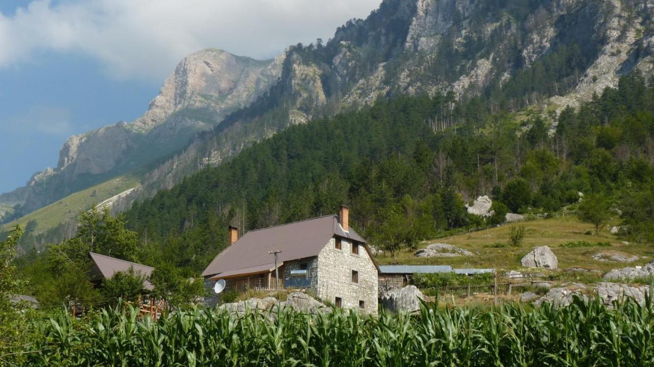 Kukaj Guest house Valbone